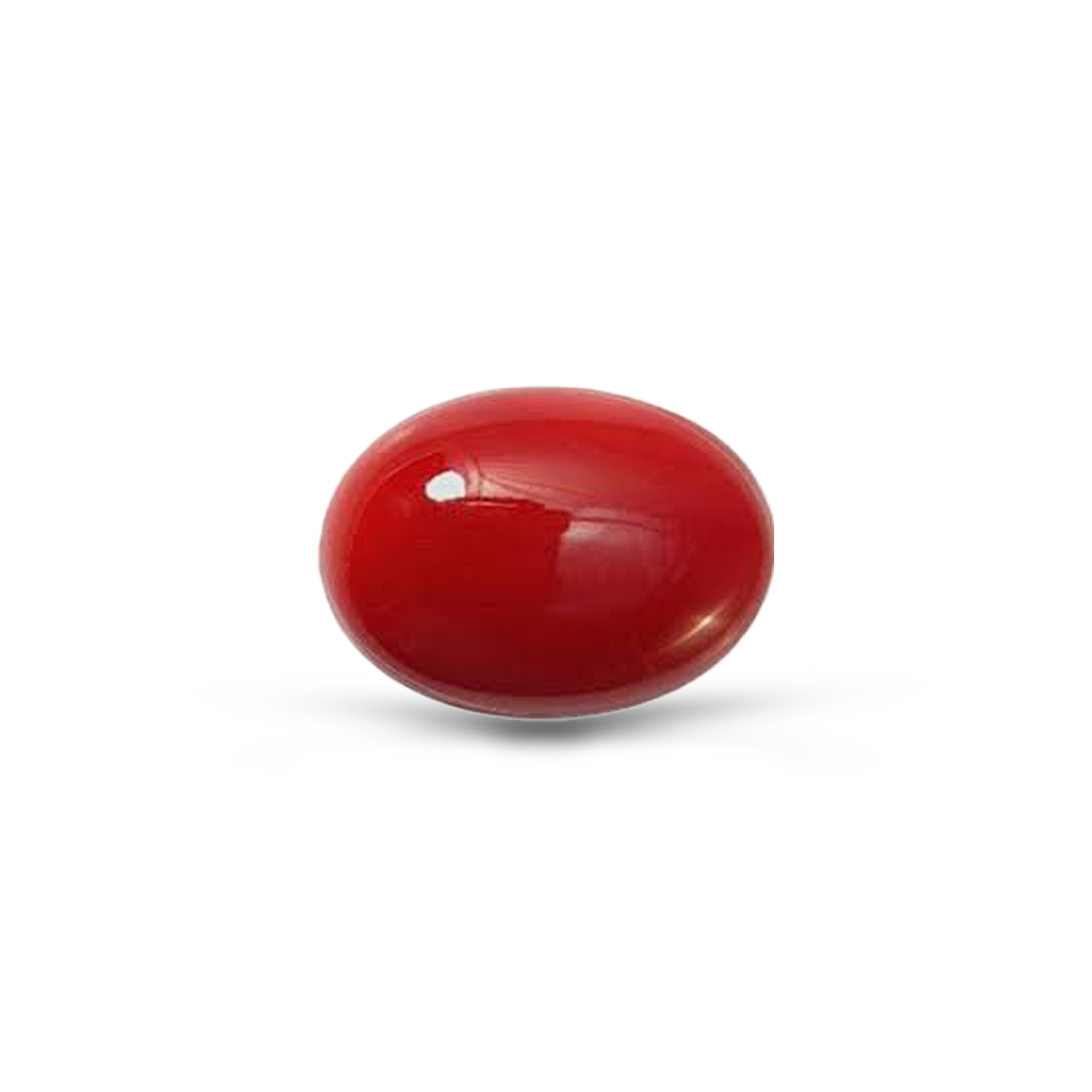 Red Coral