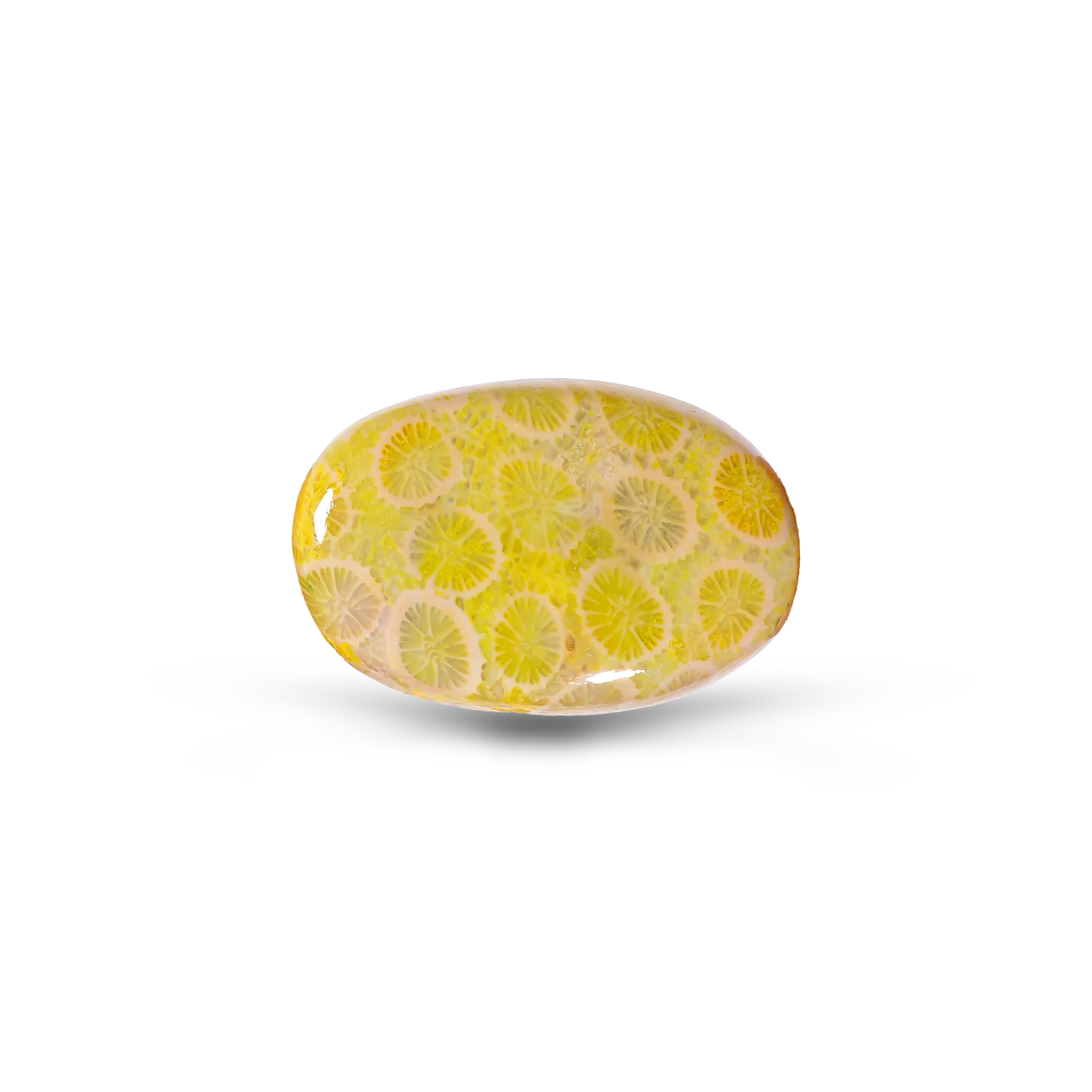 Coral